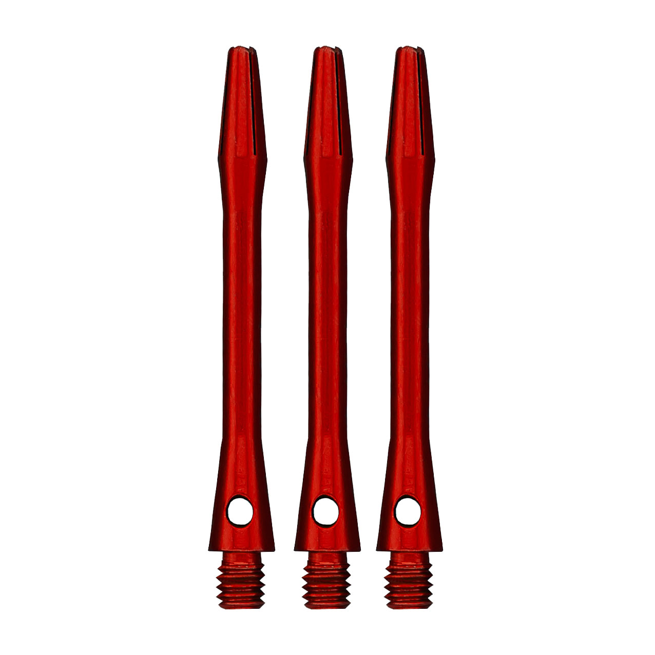 53303_p2