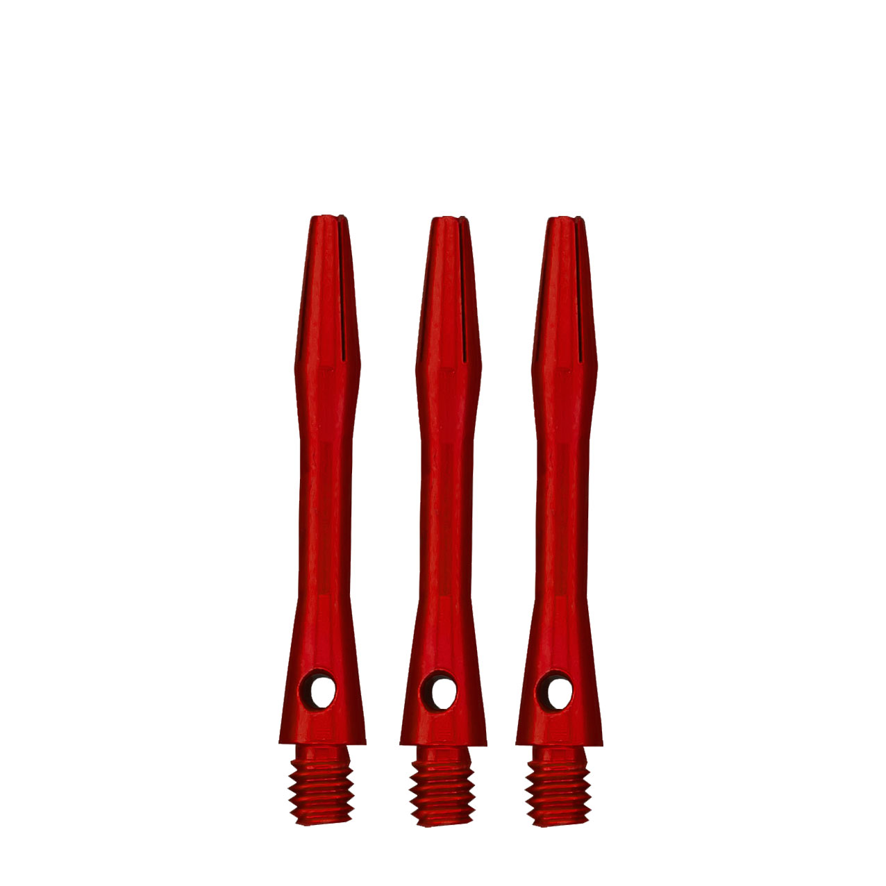 53313_p2