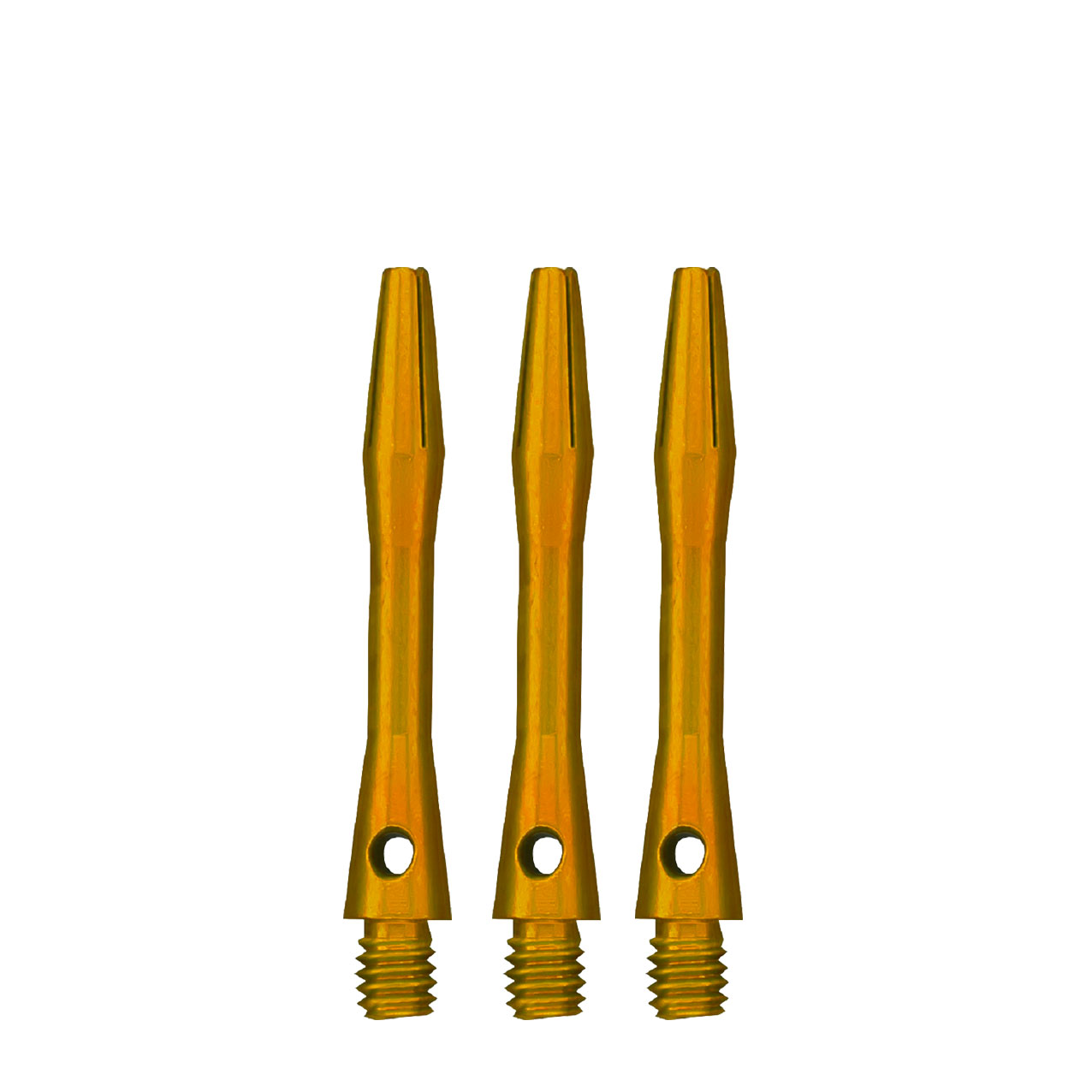 53315_p2